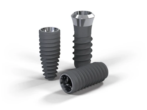 ストローマンインプラント体